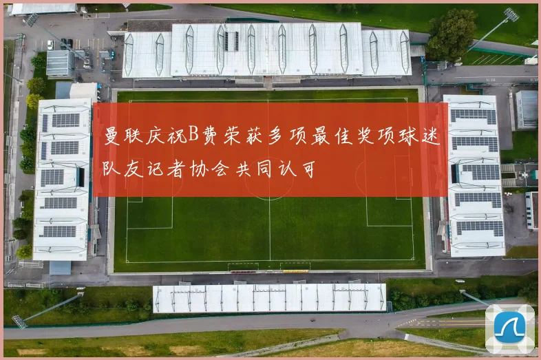 曼联庆祝B费荣获多项最佳奖项球迷队友记者协会共同认可